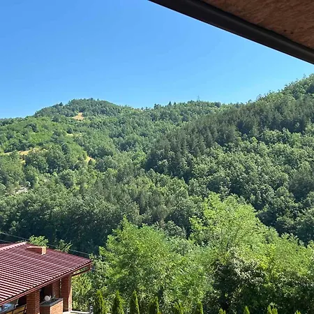 Aleksa * Bogutovac